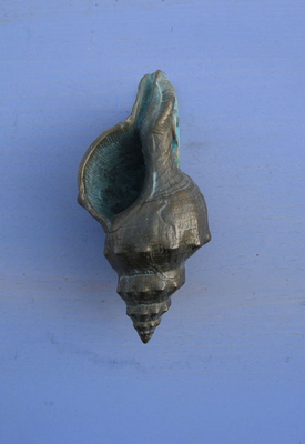 Knockers - Conch Seashell Knocker